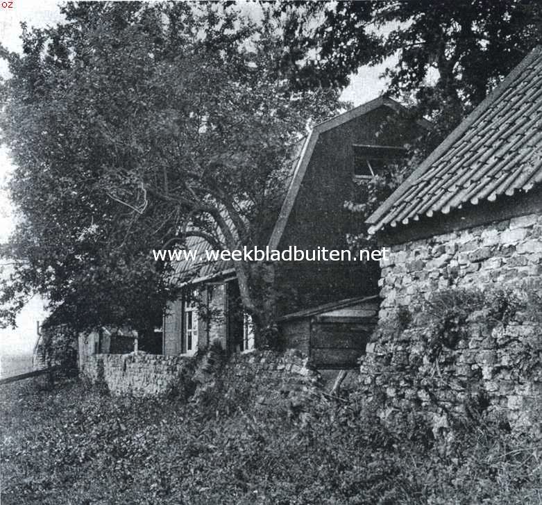 De Egmonden. Oude muur. Overblijfselen van de abdij-gebouwen te Egmond-Binnen