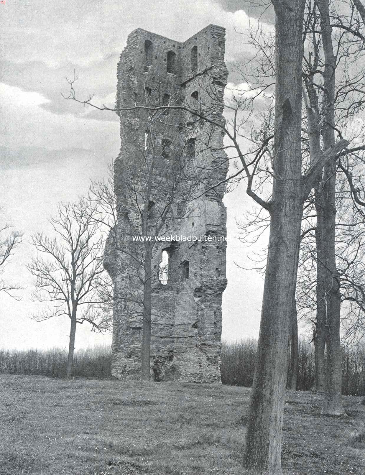De rune van het kasteel Strijen bij Oosterhout
