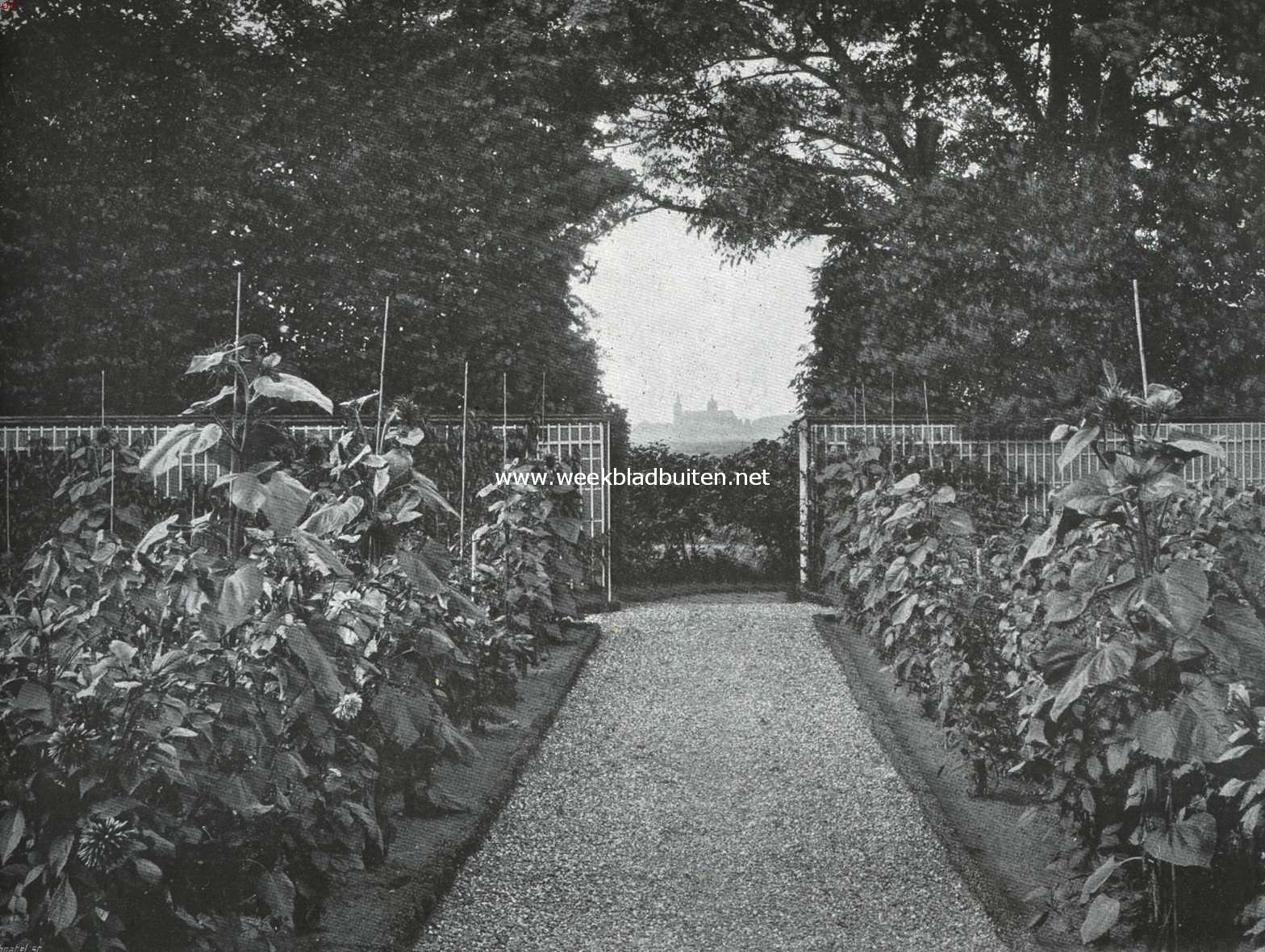 De St. Jans Kathedraal te 's Hertogenbosch. Gezicht uit den tuin van Huize Muiserick te Vucht op de St. Jans Kathedraal