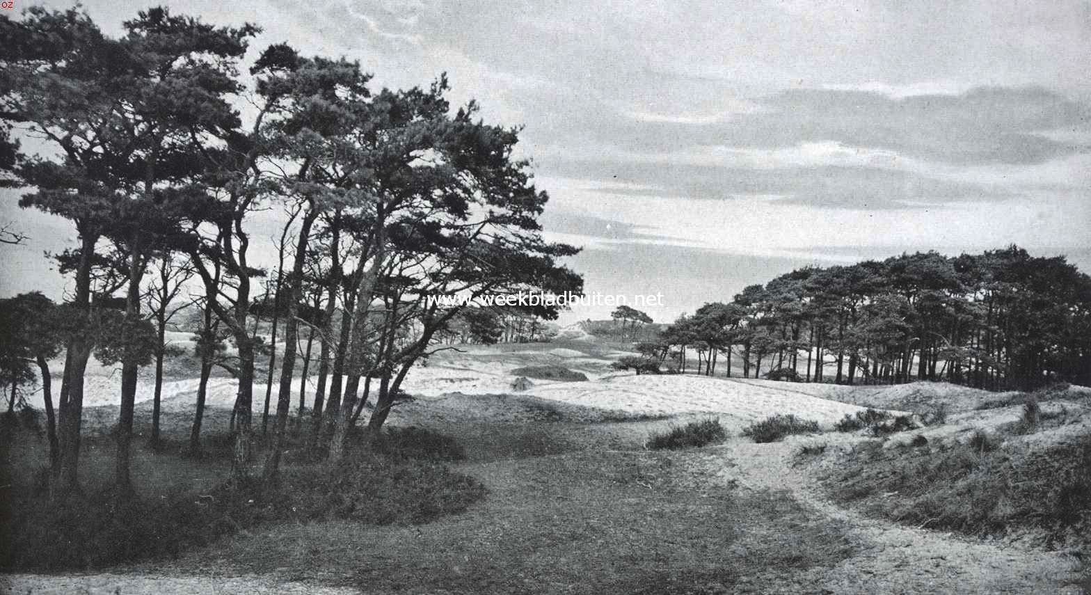 Wassenaar. Duingezicht bij Wassenaar
