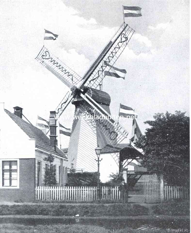 Versierde houtzaagmolen (Paltrok)