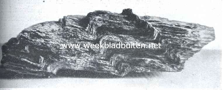 Mooie steenen. Geplooide glimmerschist. Zwerfsteen van Maarn