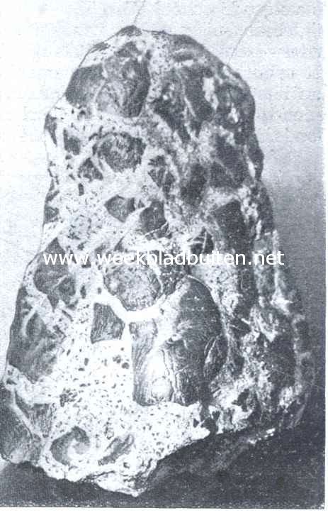 Mooie steenen. Een jaspisbreksie van onze heide. Zwerfsteen van Amersfoort