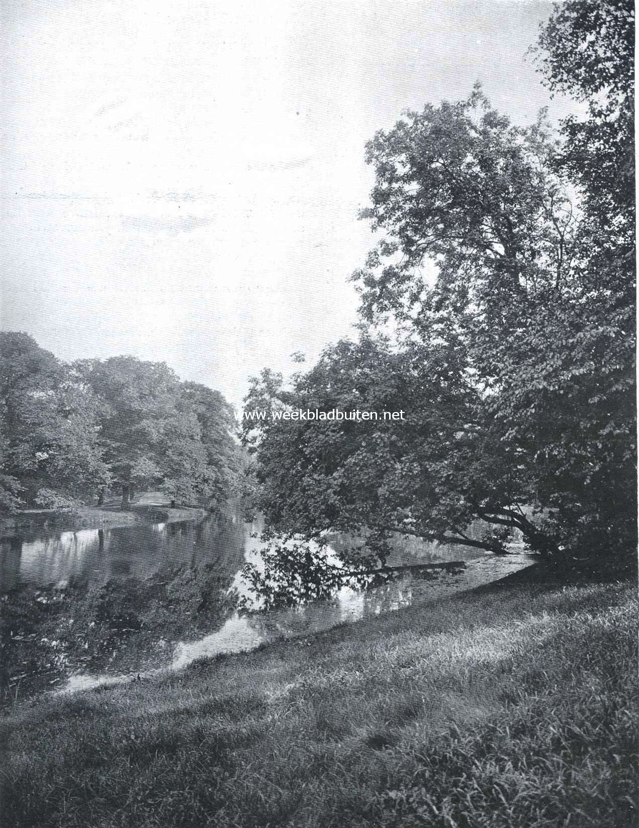 De Kloppersingel te Haarlem, gezien van het Prinsenbolwerk