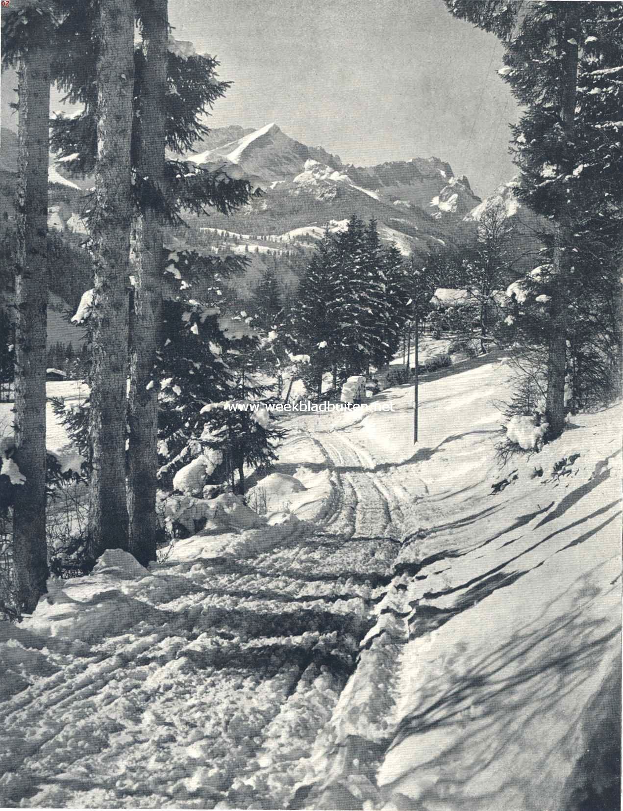 Winter in het bergland. Boschweg bij Partenkirchen