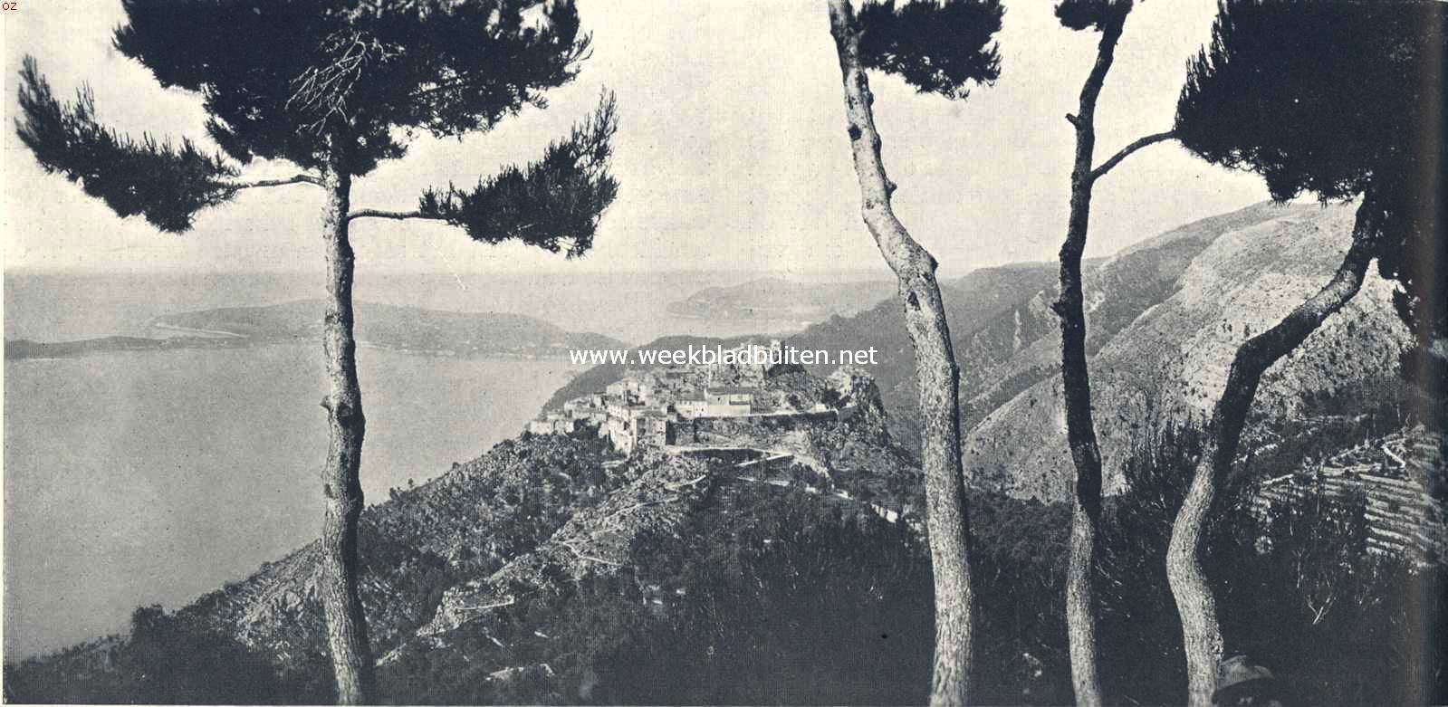 Rotsformaties en plantengroei aan de Azuurkust. Gezicht tusschen de zeedennen op Eze (het oude Eza). Op den achtergrond Mont Ferrat en nog verder Mont Boron bij Nice