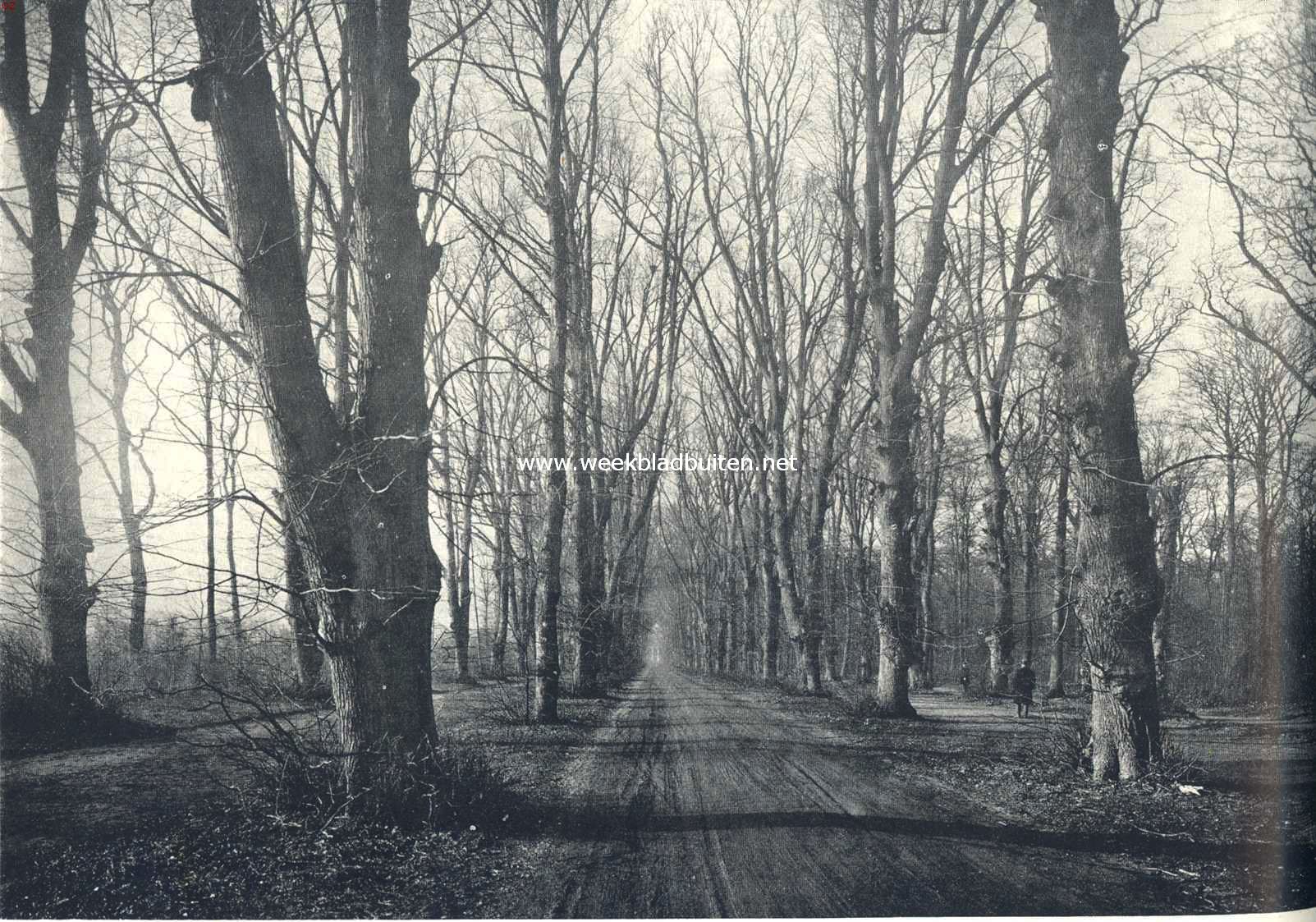 De Spanjaardslaan bij Haarlem in de winter