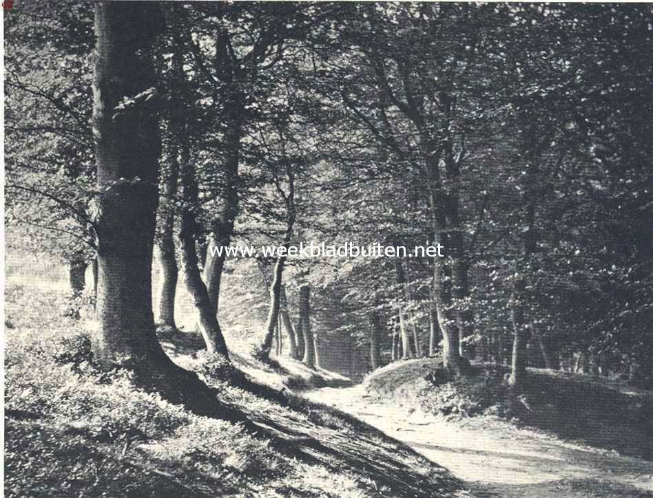 Op Mari�ndal bij Arnhem