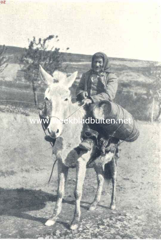 Onwetenschappelijke reisindrukken. Landbewoner, die wijn gaat halen op Buonoamorone, op een gloeiend warmen Februari-ochtend