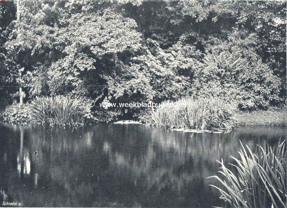 Waar de Scheybeeck in den vijver valt