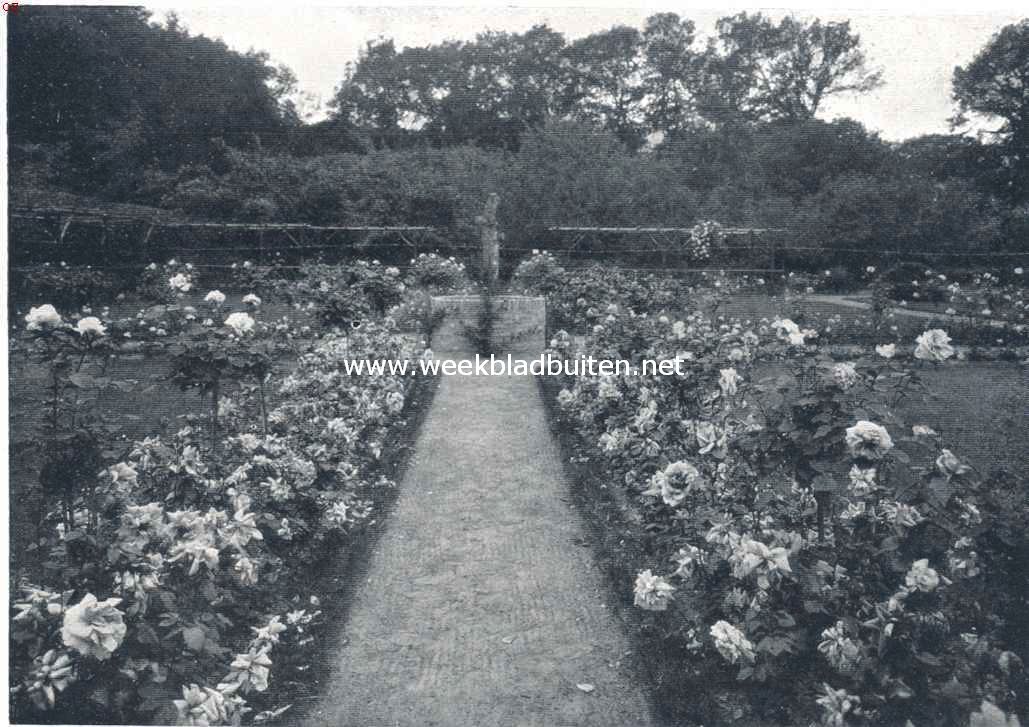 Het huis Zwaluwenburg bij Elburg. Rosarium bij het huis Zwaluwenburg