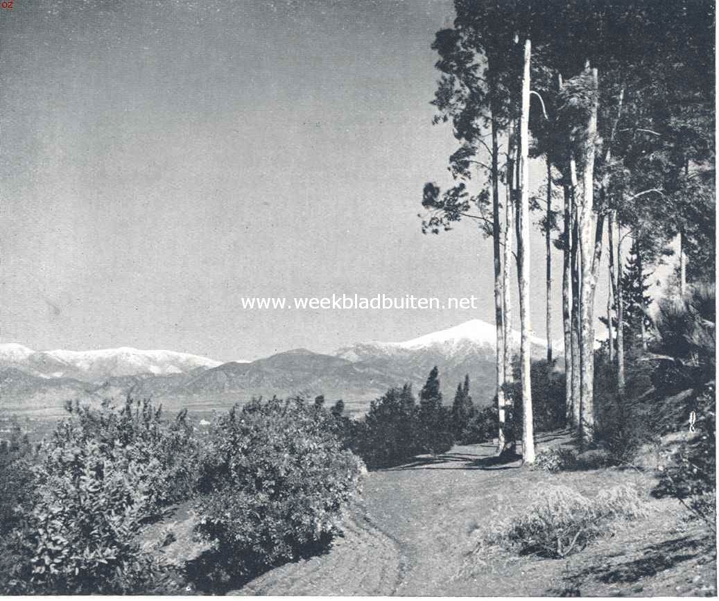 Bij San Bernardino in Californi�. Op den achtergrond de besneeuwde toppen van de Sierra Nevada