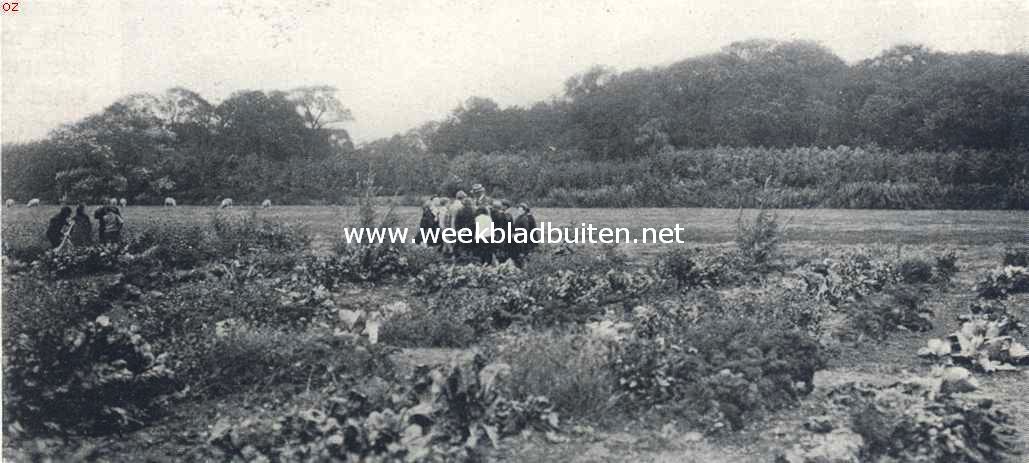 Schoolwerktuin aan den Ringdijk bij Amsterdam