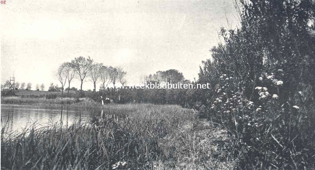 Een mooi, maar onbekend plekje nabij Haarlem. Aan de Mooie Nel