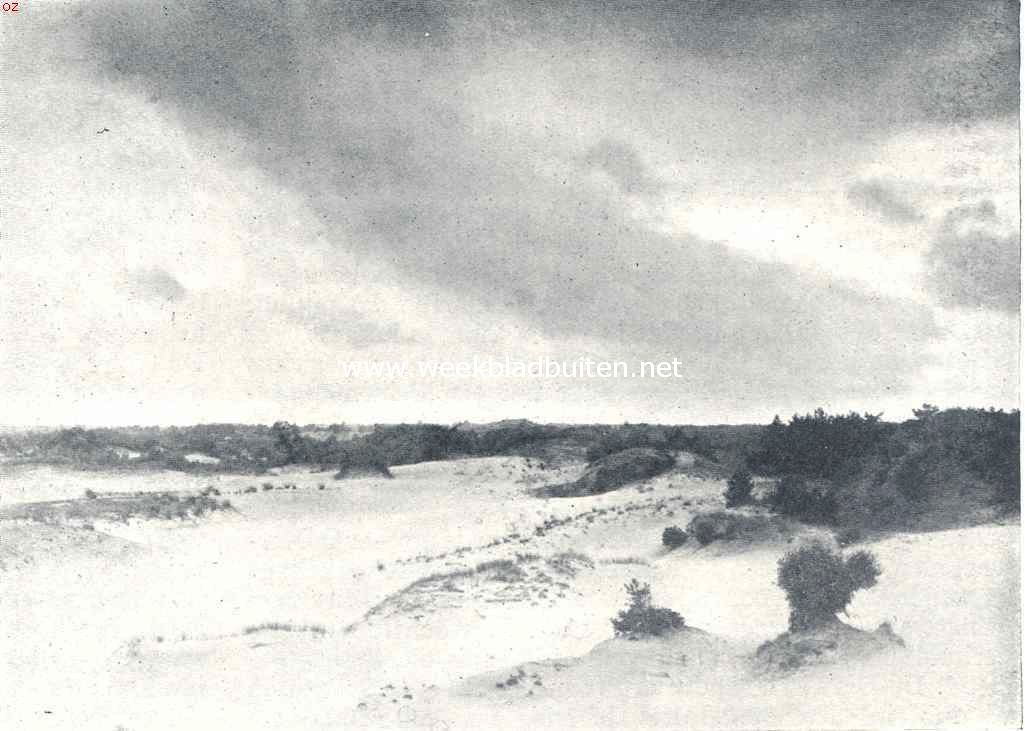 De Drunensche Duinen. De eenzame wildernis