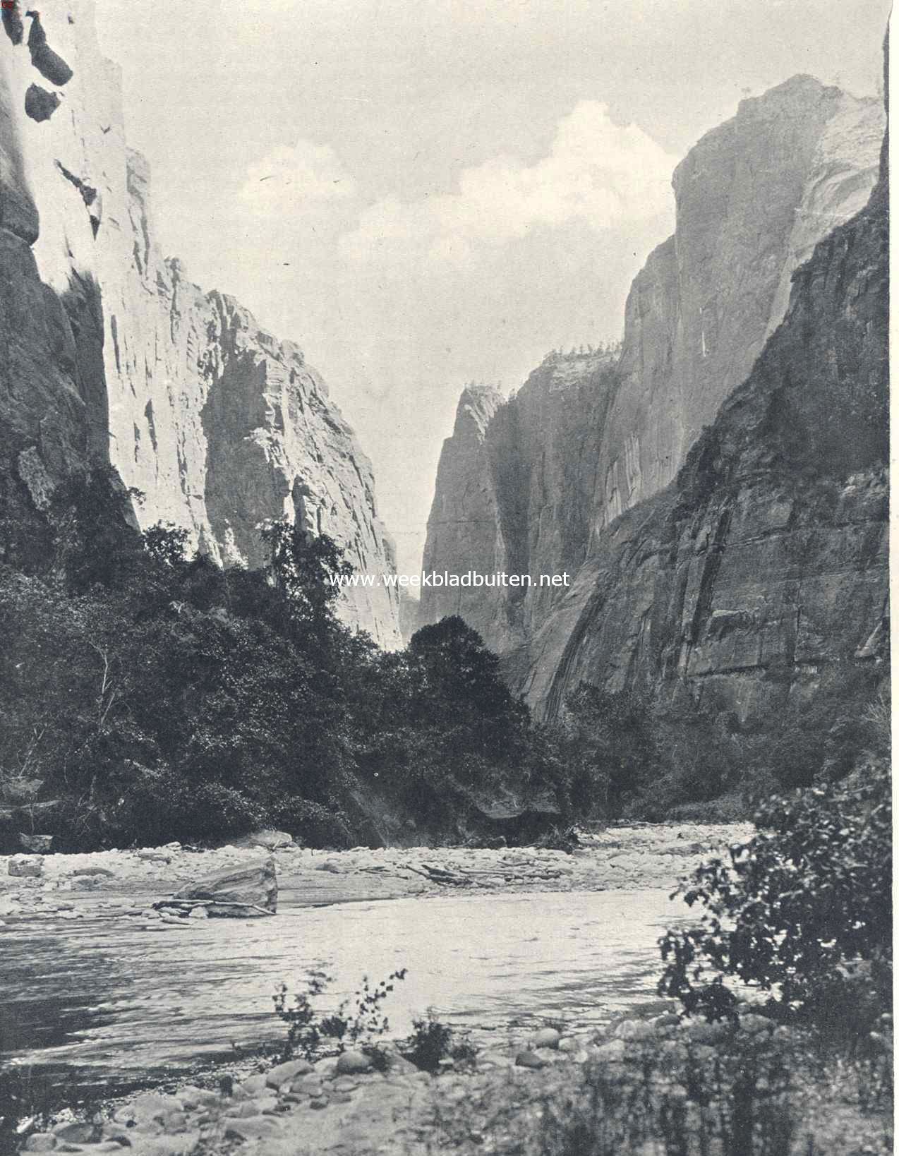 De Zion Canyon in het National Park van den staat Utah