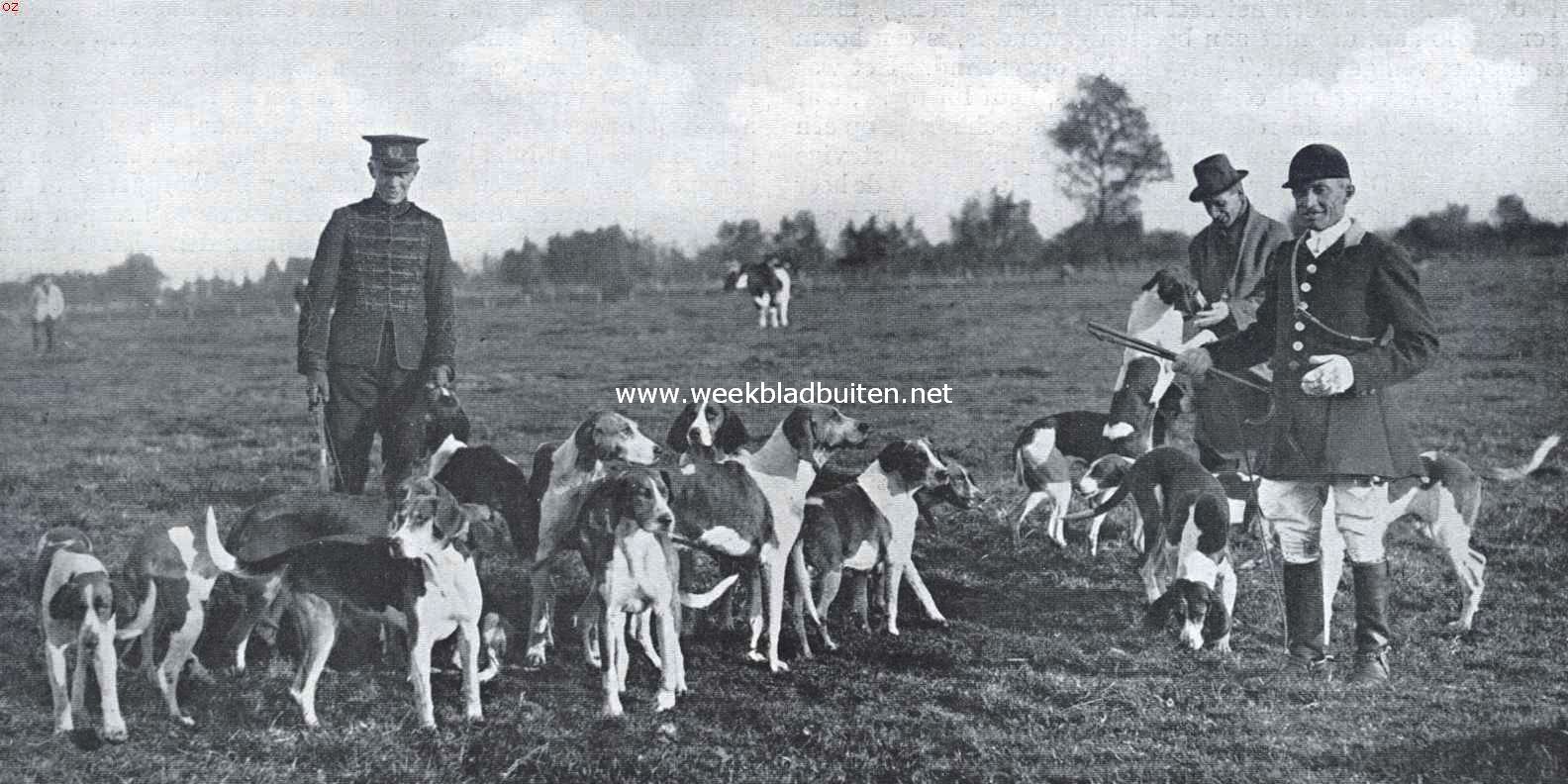 De Koninkl. Nederlandsche Jachtvereeniging en het jachtrijden achter de honden. De honden na de jacht. Van links naar rechts: jhr. De Blocq van Scheltinga (whip), de heer Winter (dierenarts der K.N.J.V.) en de kennelhuntsman Champion