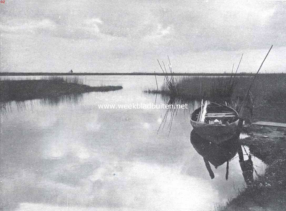 In den Ijdoornpolder bij Durgerdam