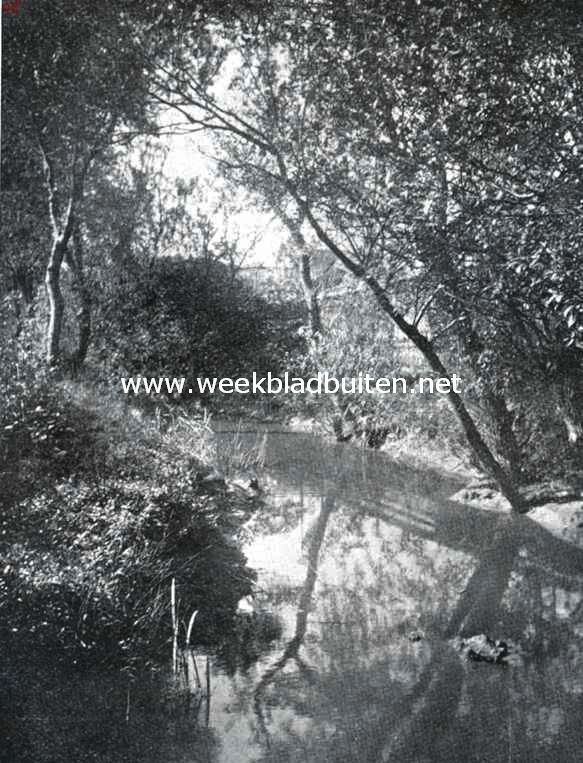 Waar is dit? Antwoord in het volgende nummer