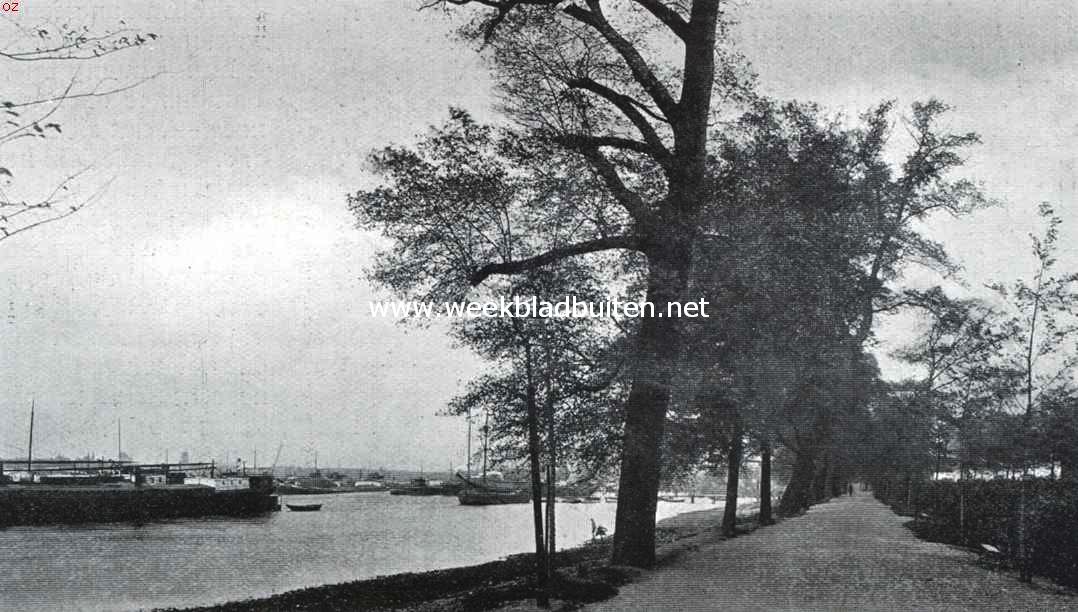 Rotterdam. De Maas bij de Oude Plantage
