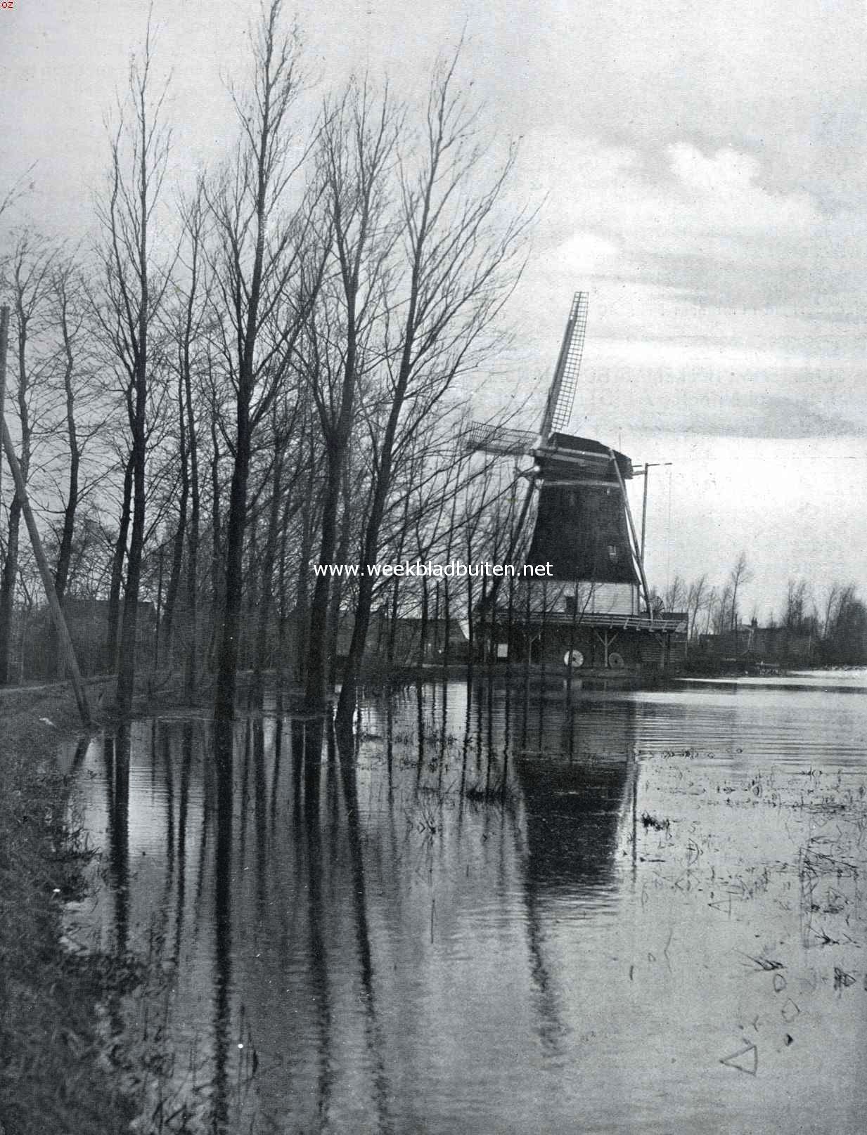 Aan de Vecht bij hoog water