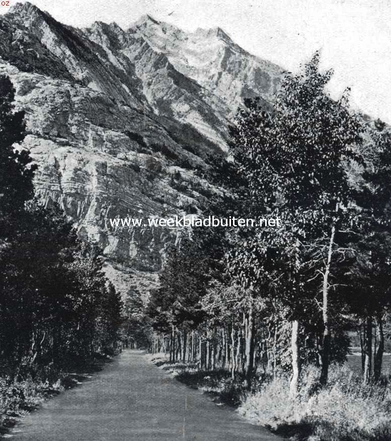 De Bertha Mountain in het Waterton Lakes National Park