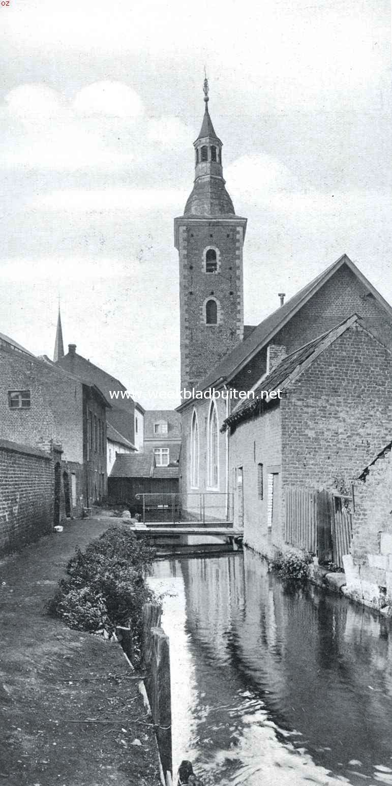 Sittard, de berk bij de hervormde kerk