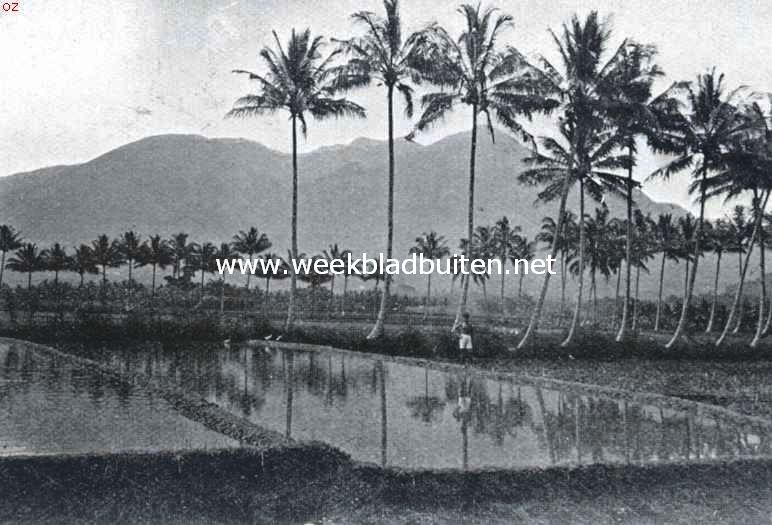 Een typisch Javaansch landschap. De Goentoer, gezien van den weg Bandoeng-Garoet. Op den voorgrond ondergeloopen rijstvelden