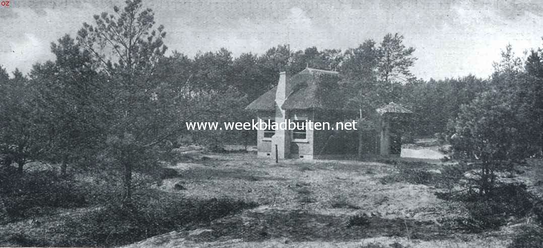 Houten huisje in de ongerepte natuur