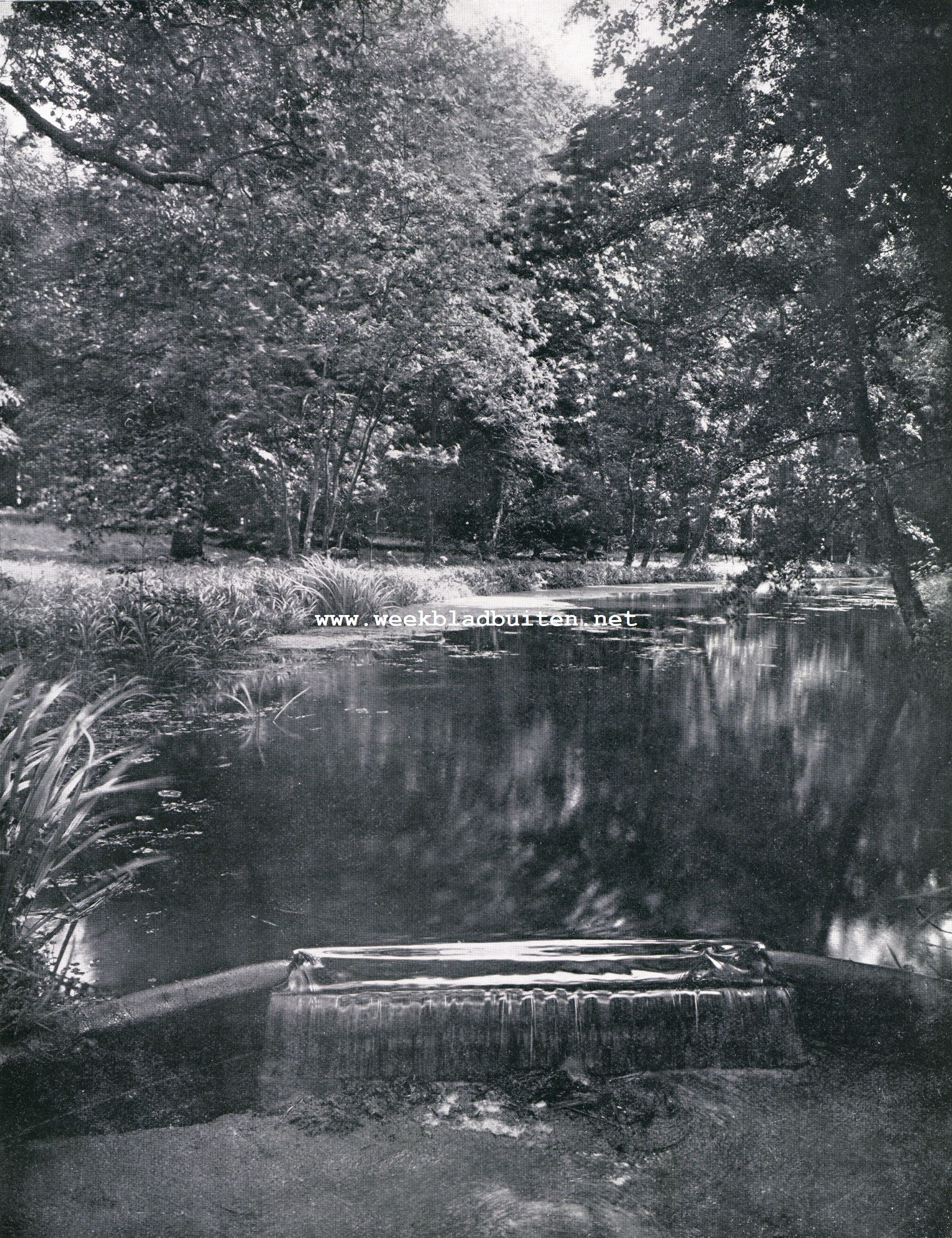 Waar het water der vijvers van Heiligeberg in de Luntersche Beek valt