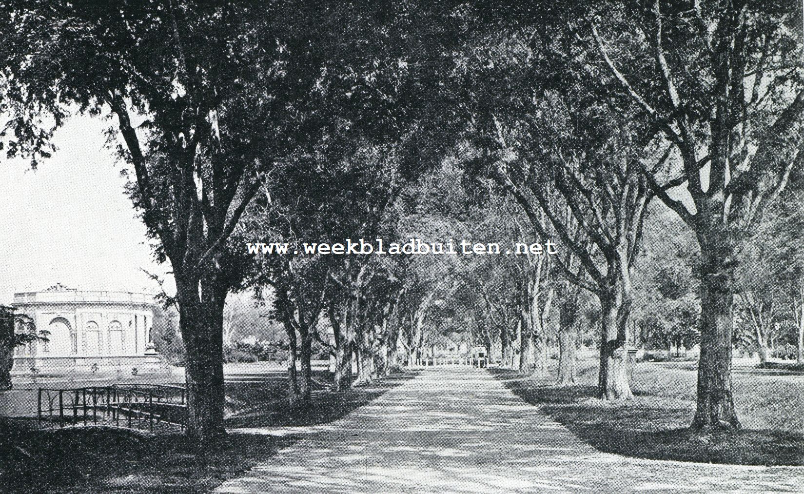 Twee Indische steden. Het Koningsplein te Weltevreden