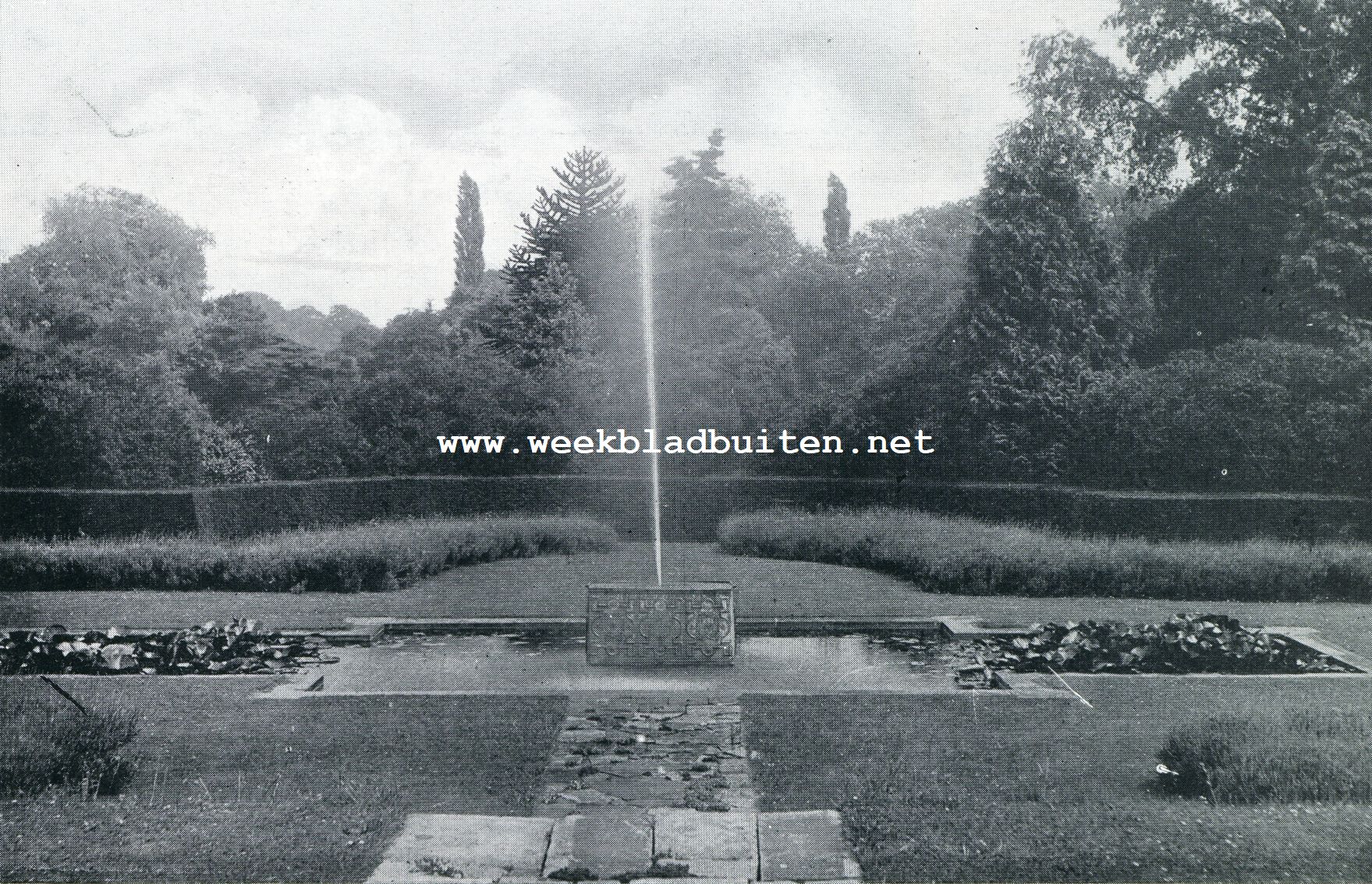 Hatfield. De sentgarden, waar lavendel in breede strooken om den bron groeit