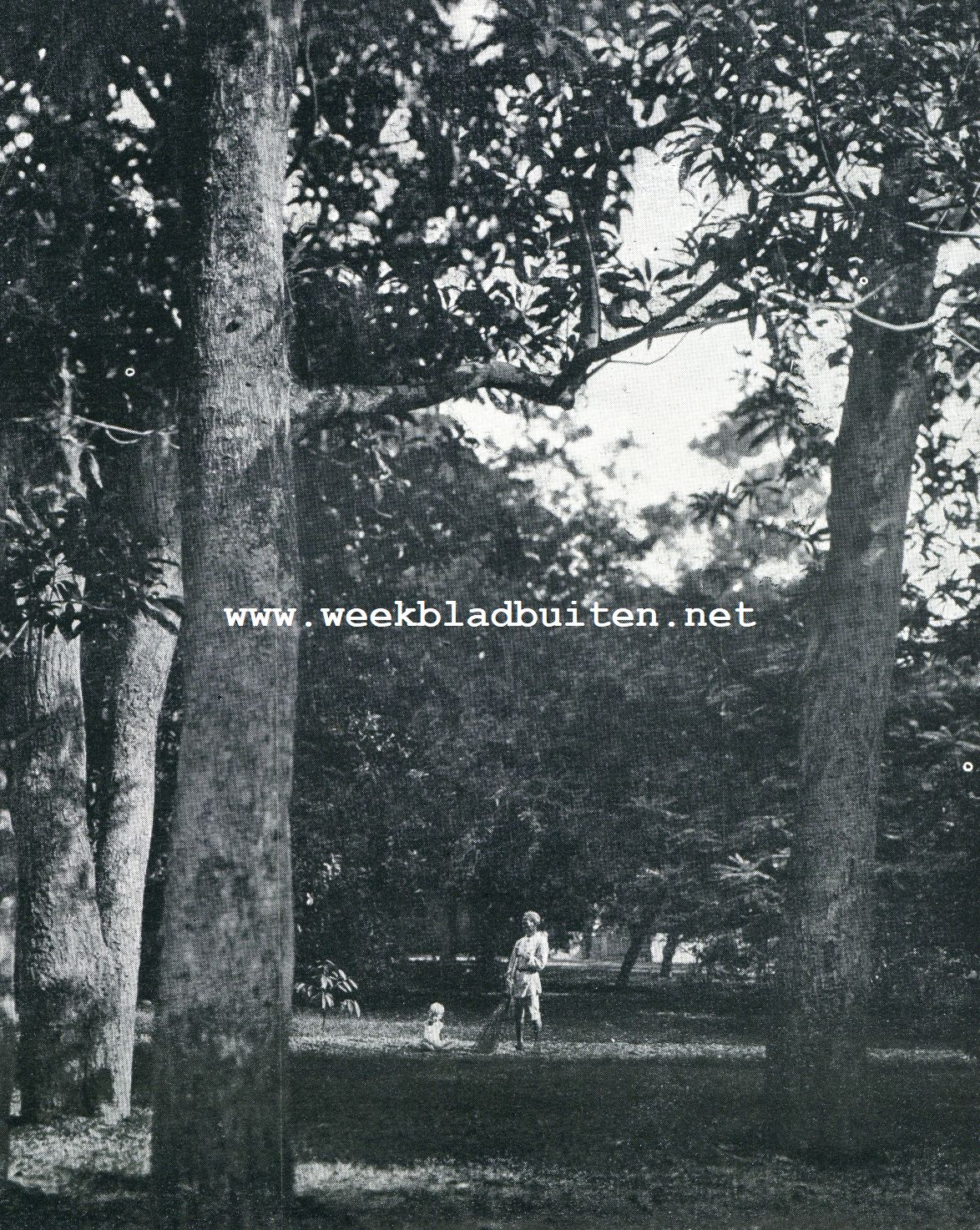 Een Indisch-Europeesche woning. Bij den Zuidelijken ingang naar het Westen gezien