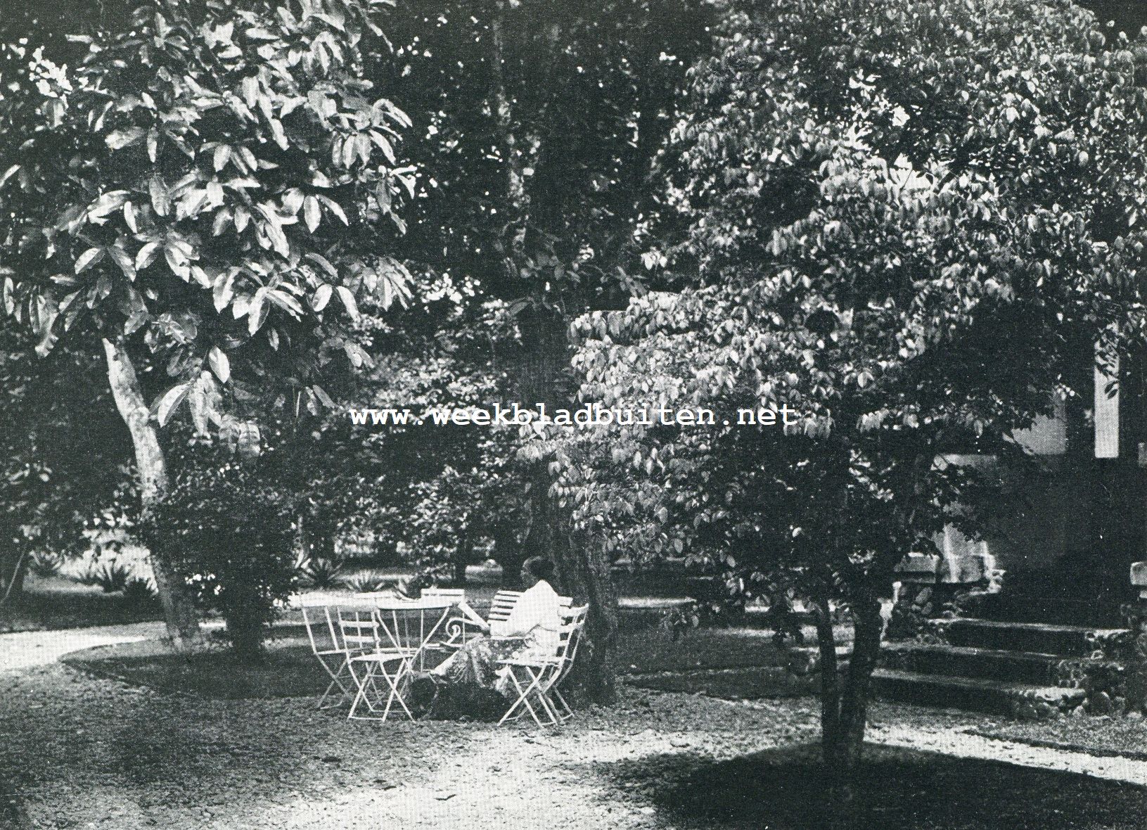 Een Indisch-Europeesche woning. Voor den ingang van het huis