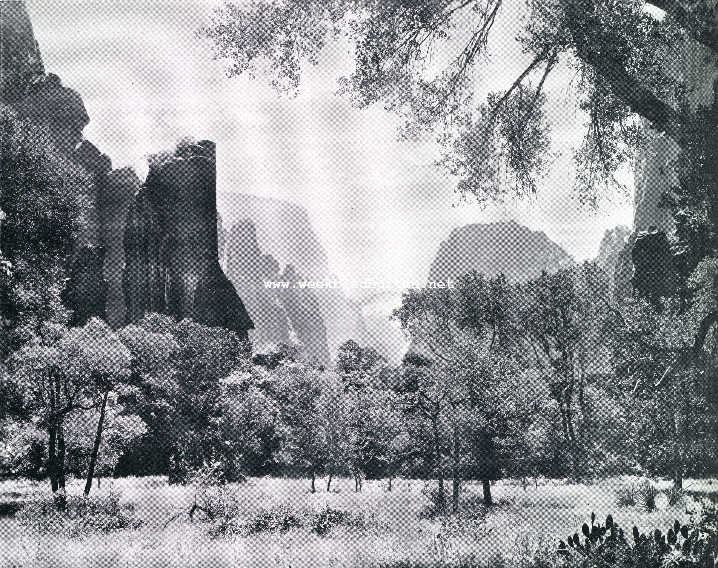 Zion National Park. De Tempel van Sinawara