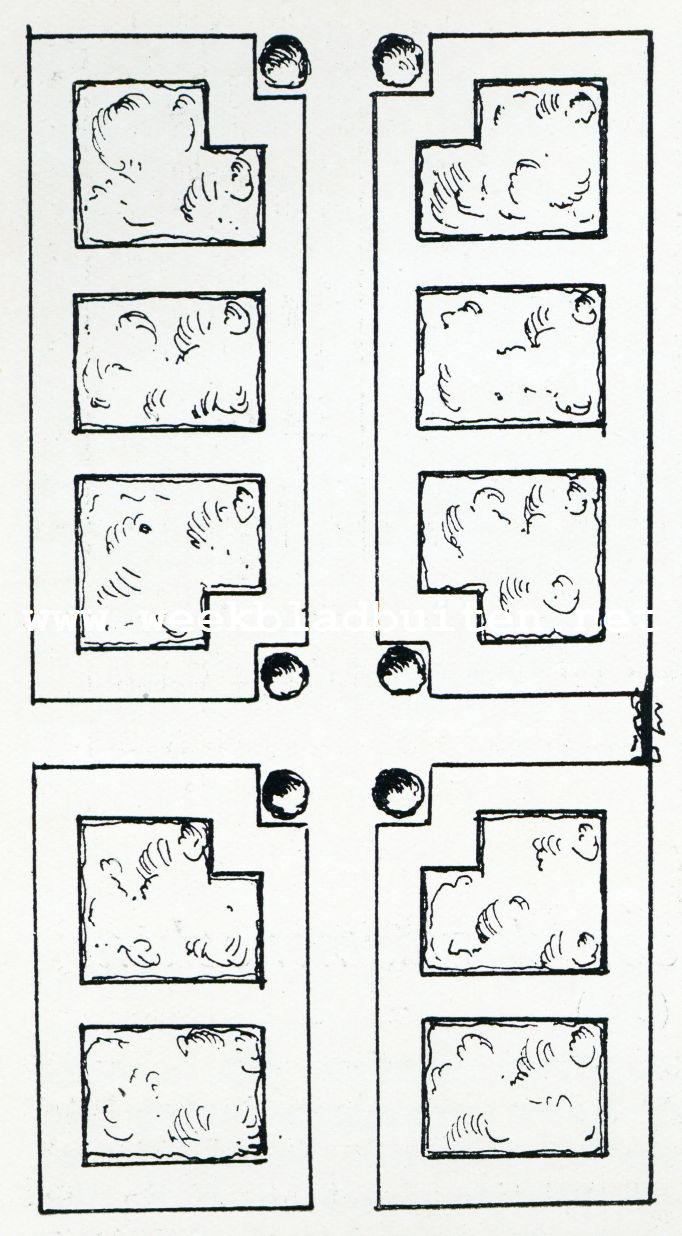Mijn eigen tuin. Plan voor een rozenaanleg langs een lang pad