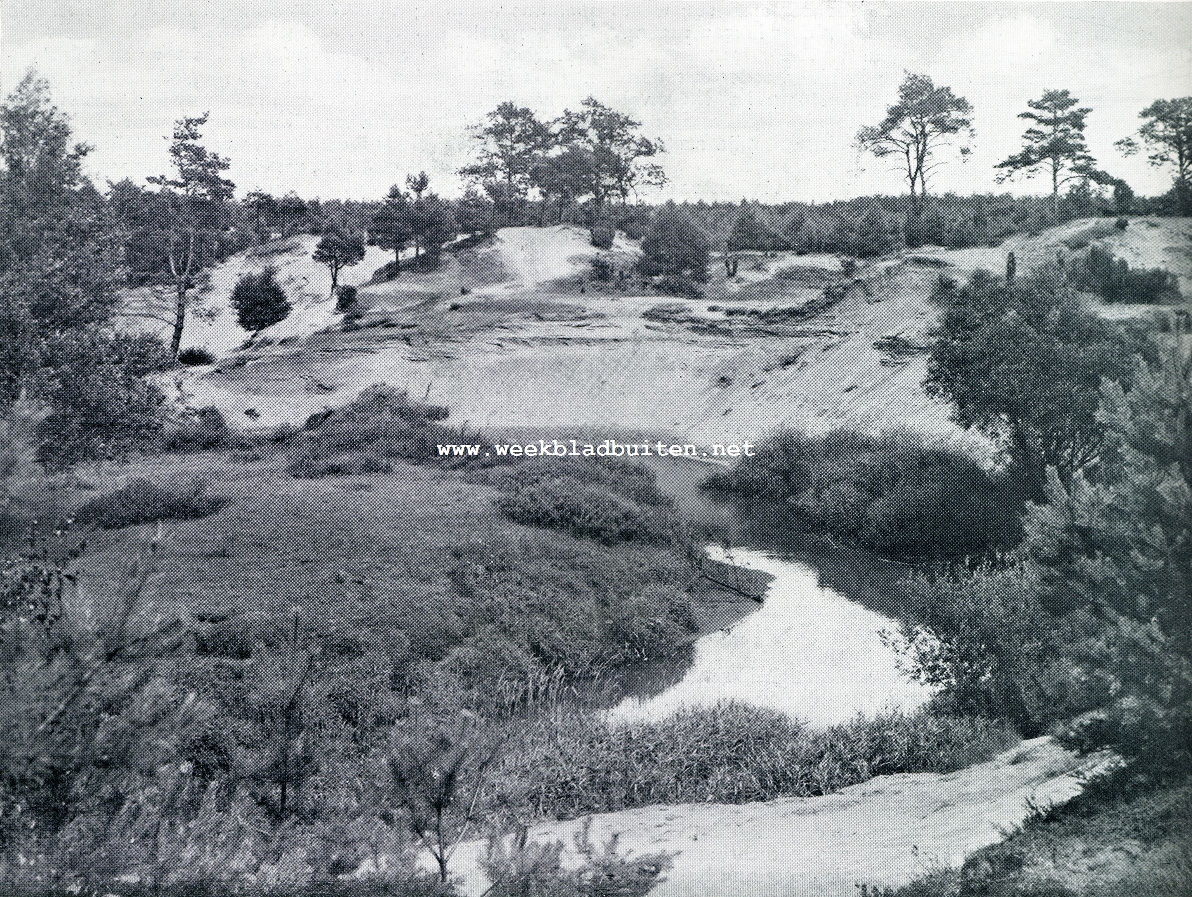 Naar het Lutterzand. Het Lutterzand. Een schitterend panorama breidt zich voor ons uit