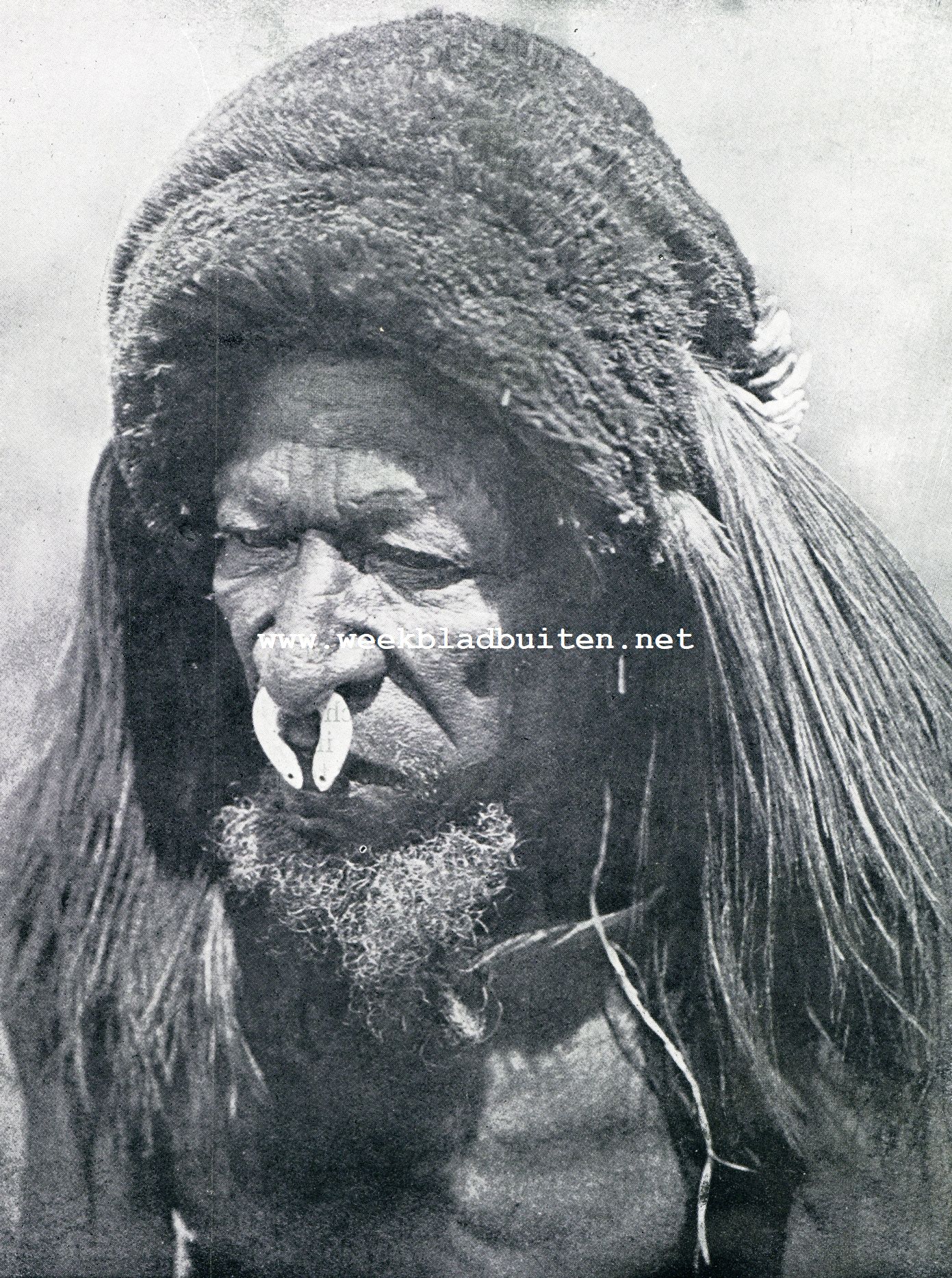 Uit het land en het leven der Papoea's. Bij de Papoea's. Een toovenaar der Papoea's