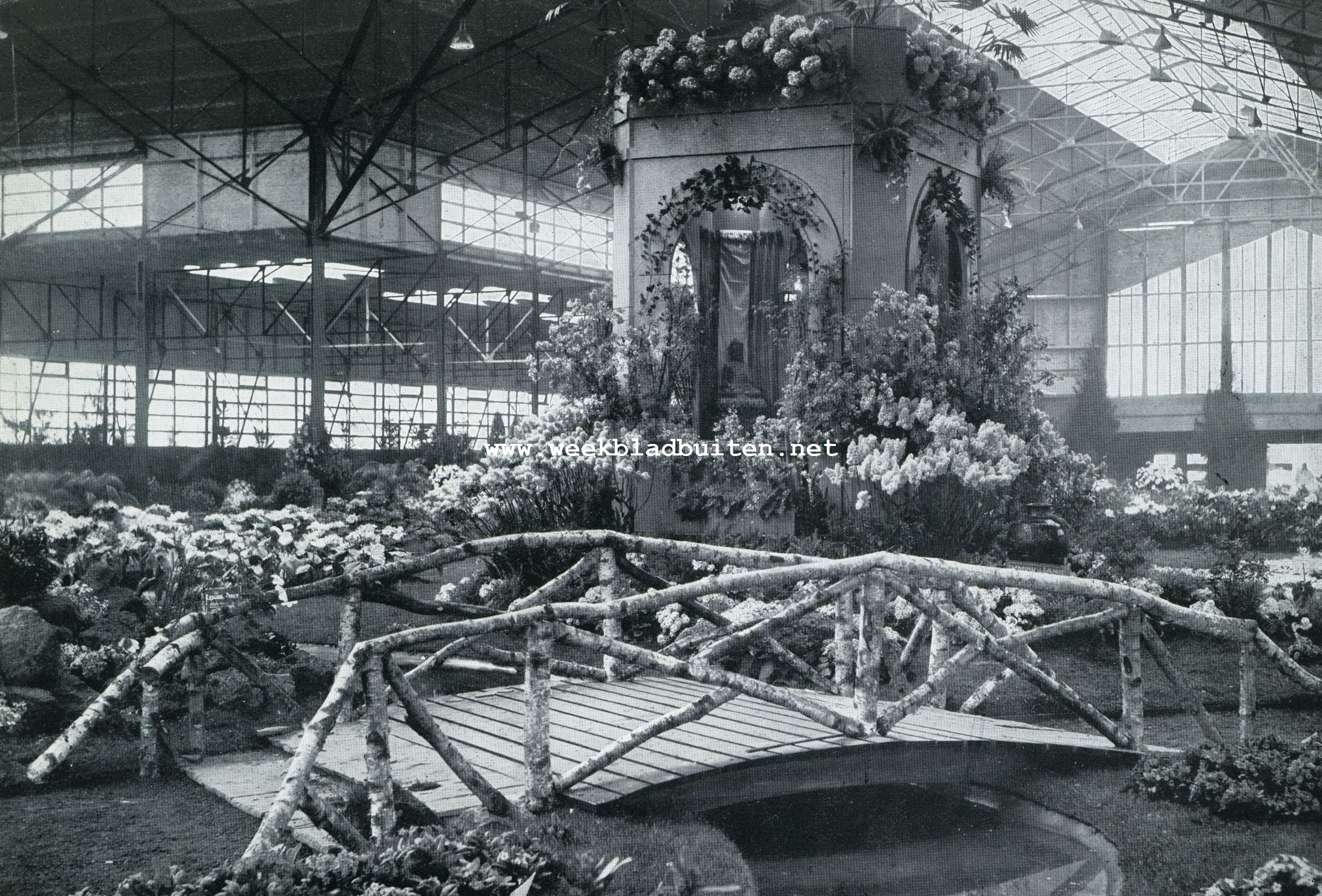 Primavera. Een keur van voorjaarsbloemen