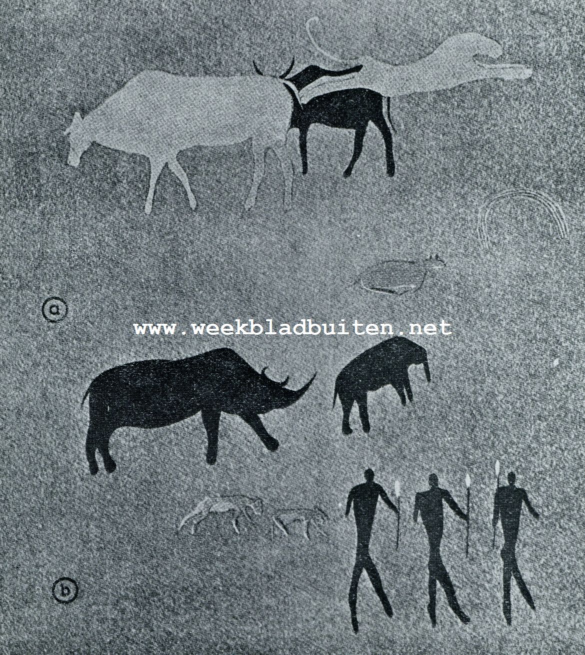 Boschjesman schilderingen. A. Uit Zuurfontein (runderen, leeuw), B. Uit Zandfontein (neushoorn, olifant, jakhalzen, kaffers). Naar Helene Tongue, Bushman Paintings