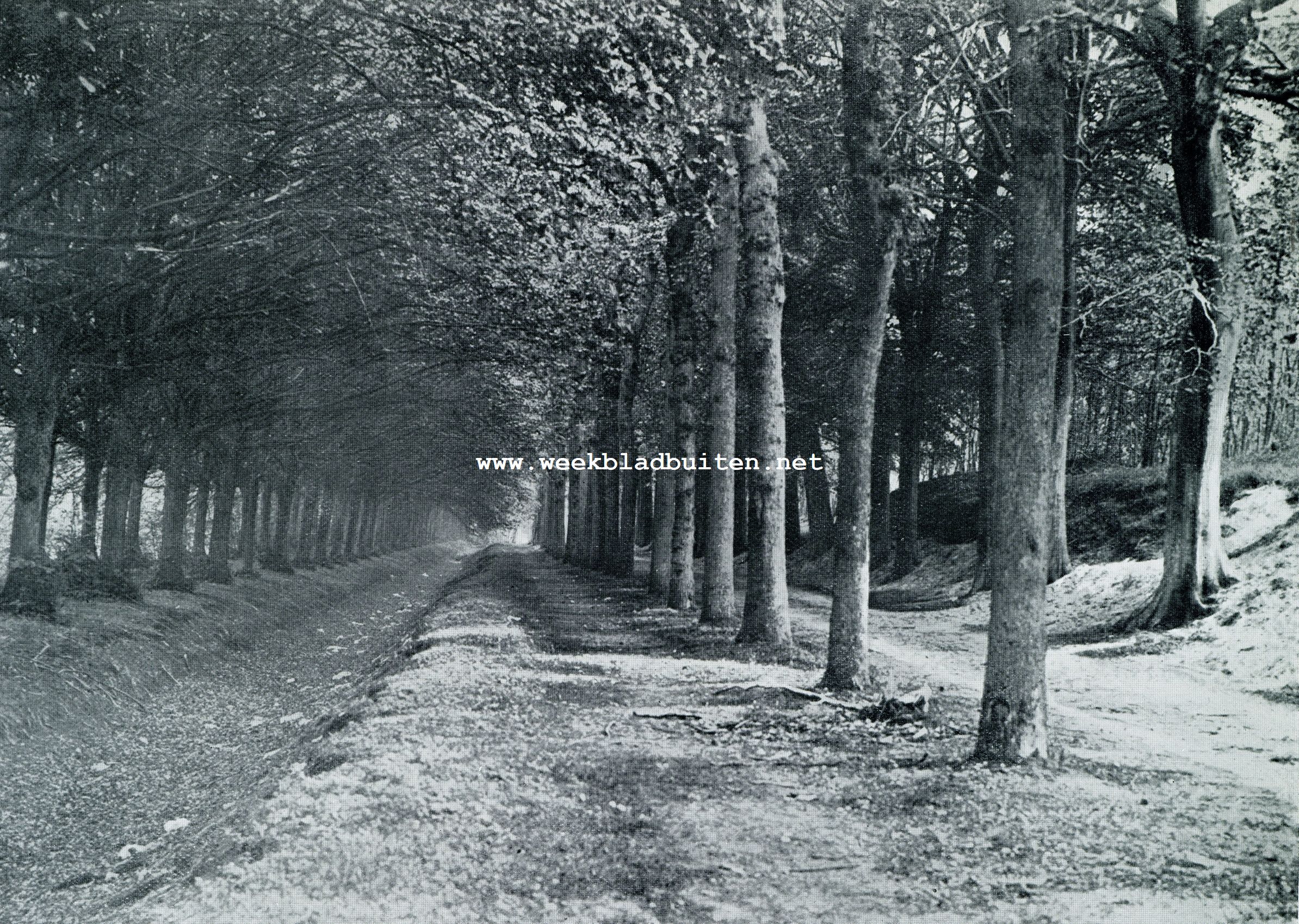 Rondom Haarlem. Naaldenveld