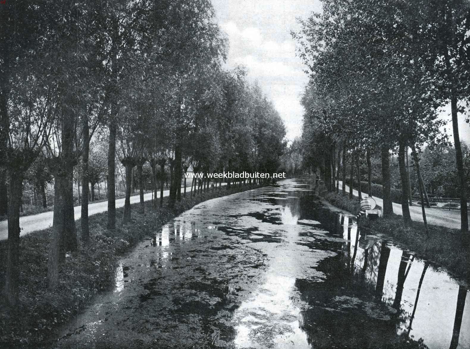 De Alblasserwaard. De Noordeloos bij den weg naar Meerkerk