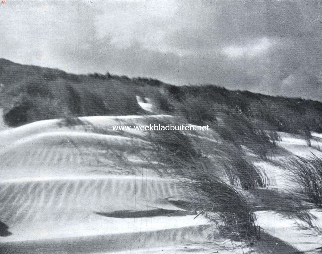 Storm in de duinen