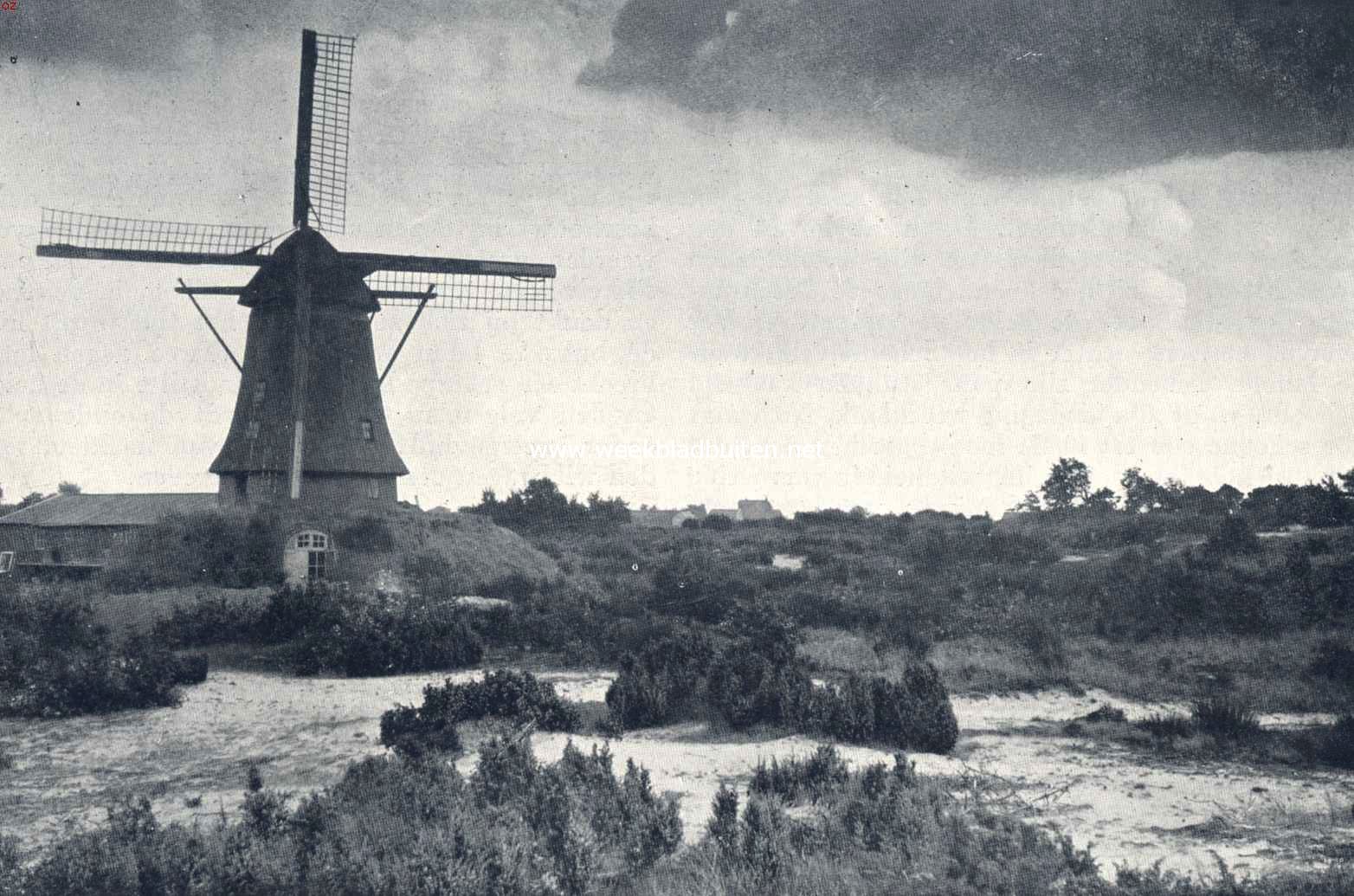 Molens. Korenmolen (beltmolen) op de heide bij Marienberg (Ov.)