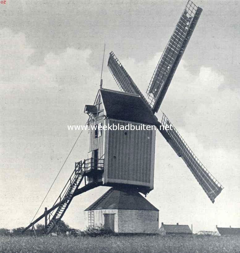 Molens. Standardmolen te Ossendrecht (N.-B.)