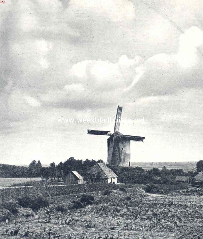 Molens. Korenmolen te Zeddam, gerestaureerd op kosten van den heer J.H. van Heek