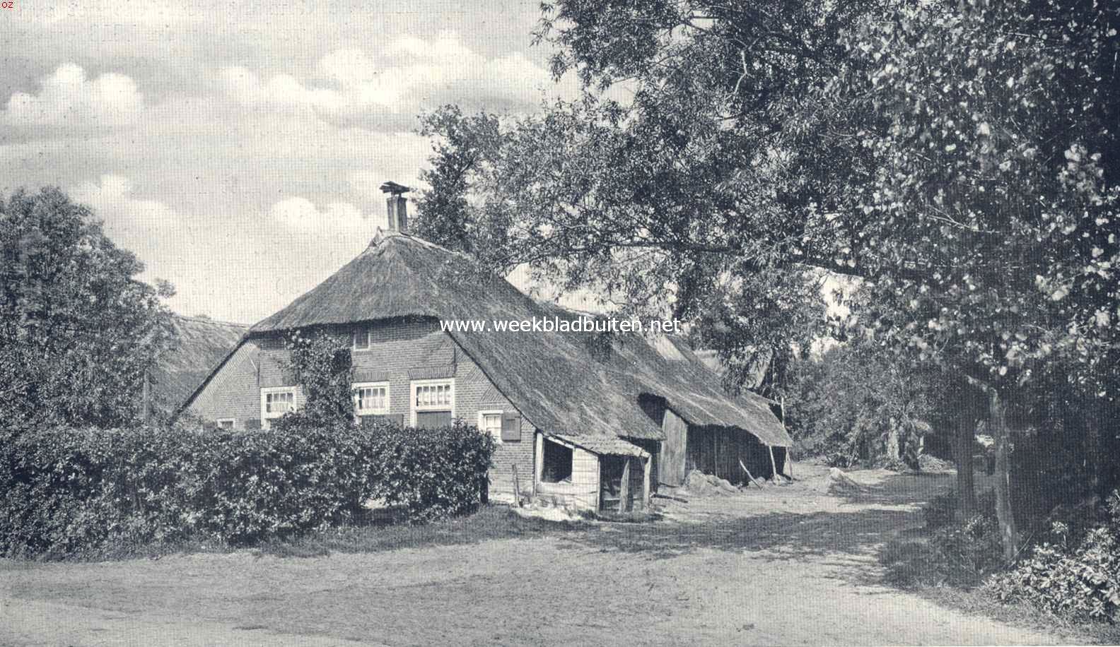 In het land van Staphorst en Rouveen. Boerenwoning met 